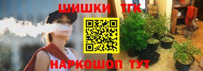 тгк Кимры